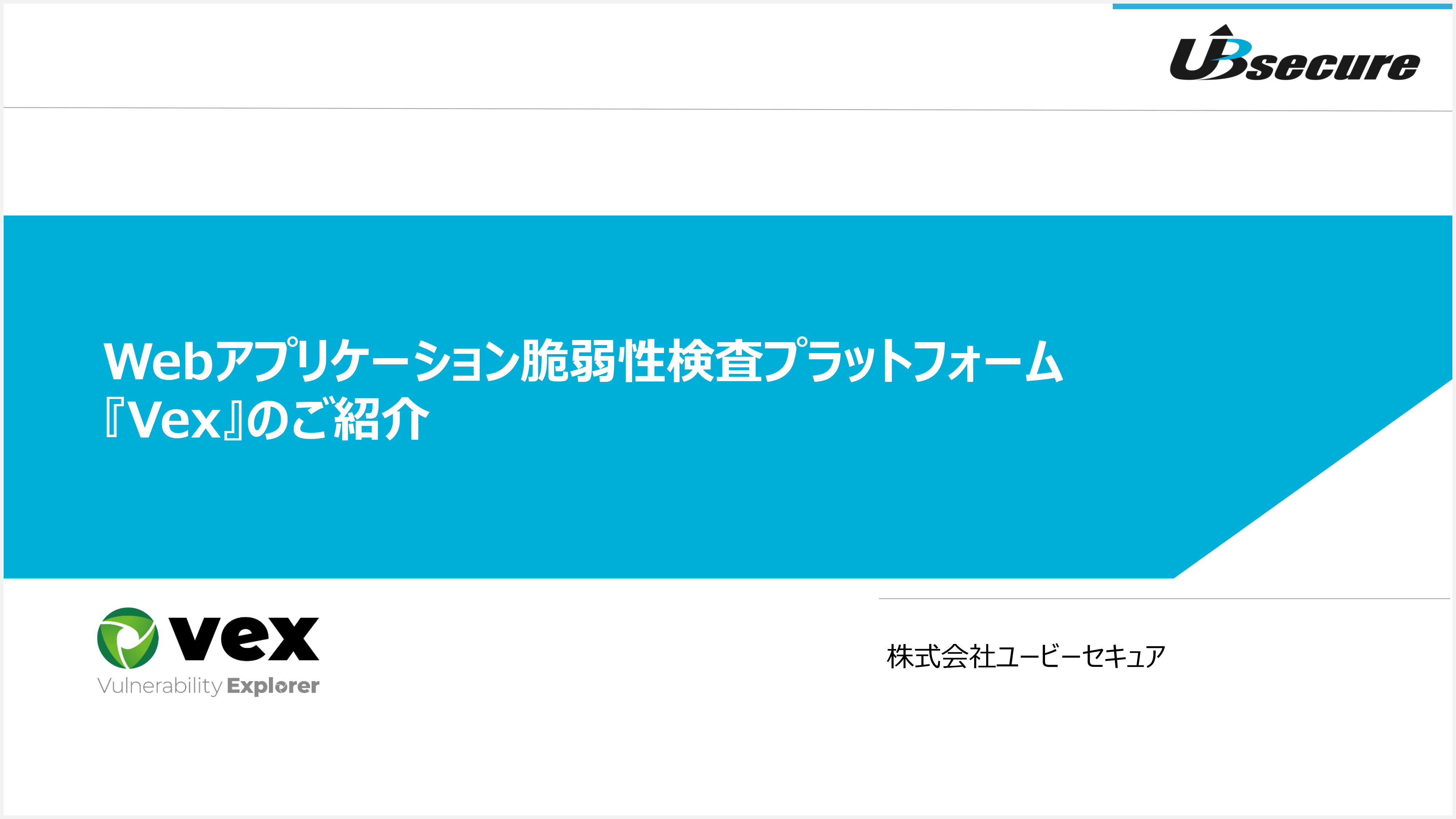 Webアプリケーション脆弱性検査ツール『Vex』ご紹介資料